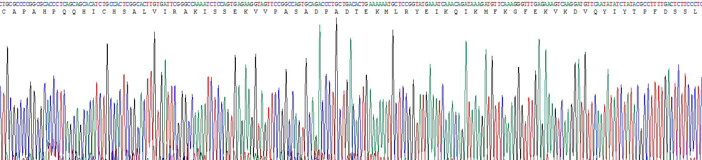Figure . Gene Sequencing (Extract)