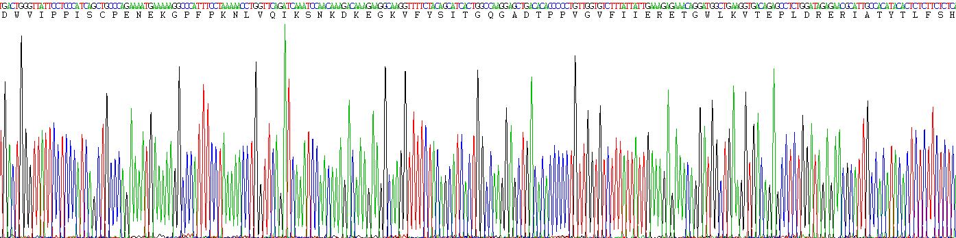 Figure . Gene Sequencing (Extract)
