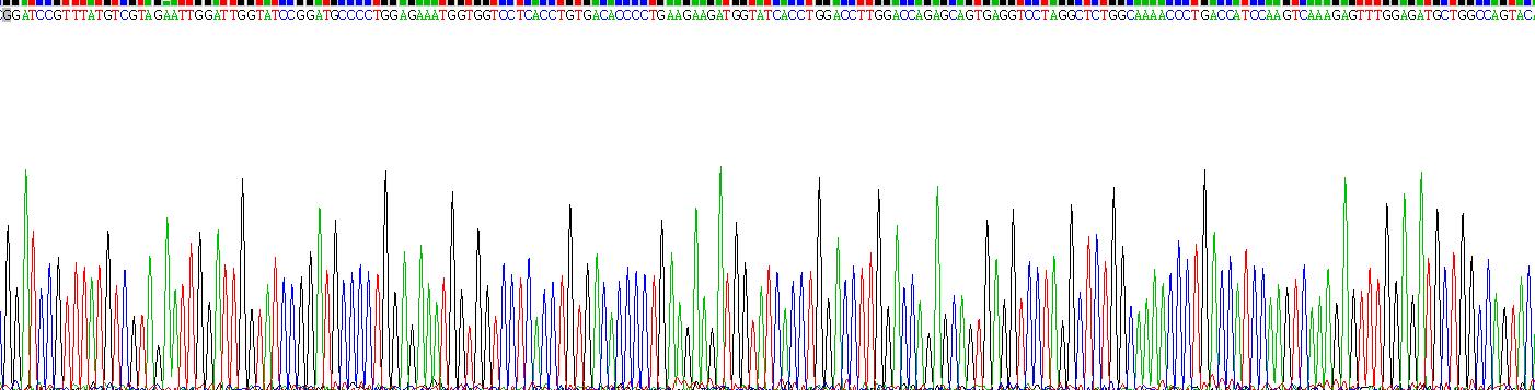 Gene Sequencing (extract)