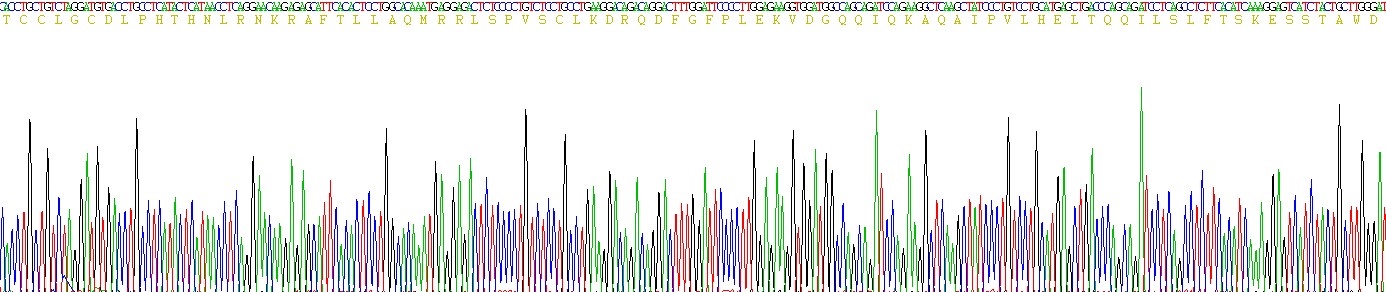 Figure . Gene Sequencing (Extract)