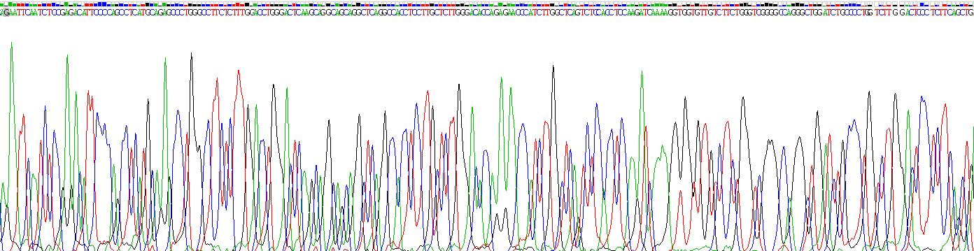 Gene Sequencing (extract)