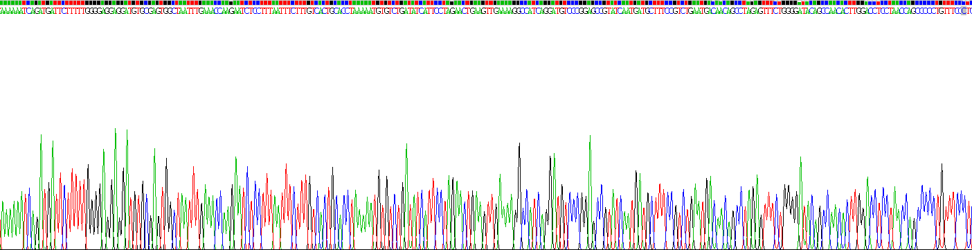 Gene Sequencing (extract)