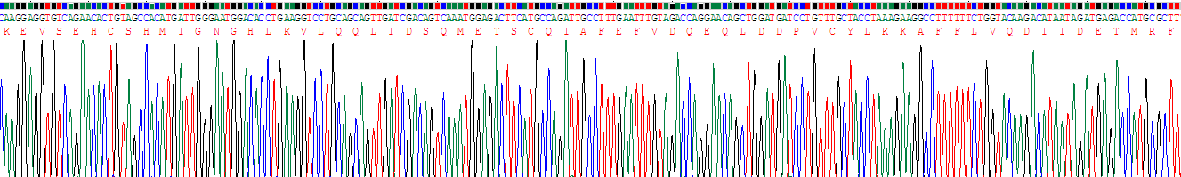 Gene Sequencing (extract)