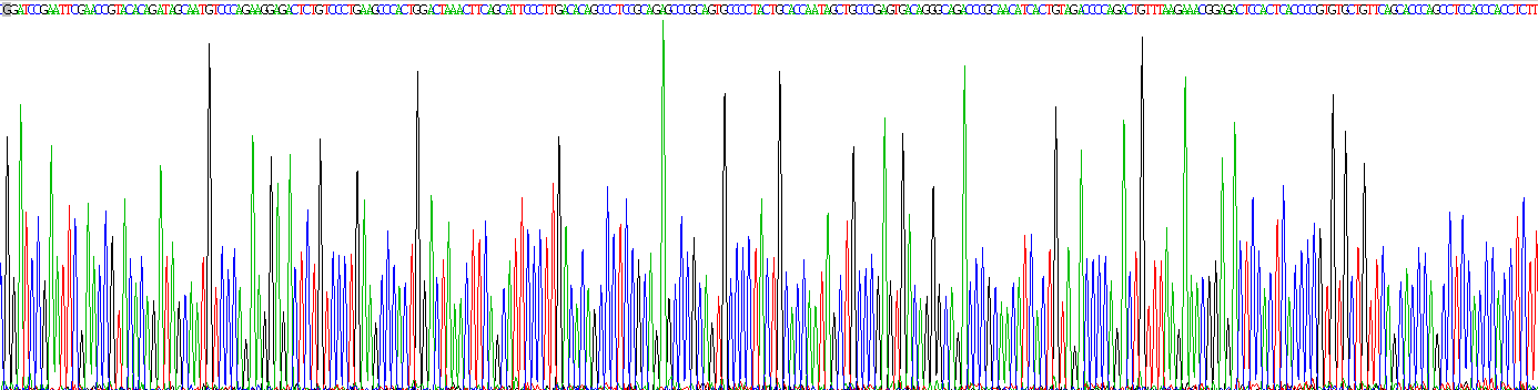 Gene Sequencing (extract)
