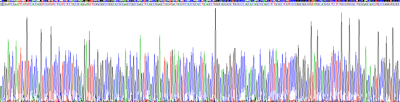 Gene Sequencing (extract)