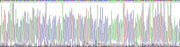 Gene Sequencing (extract)