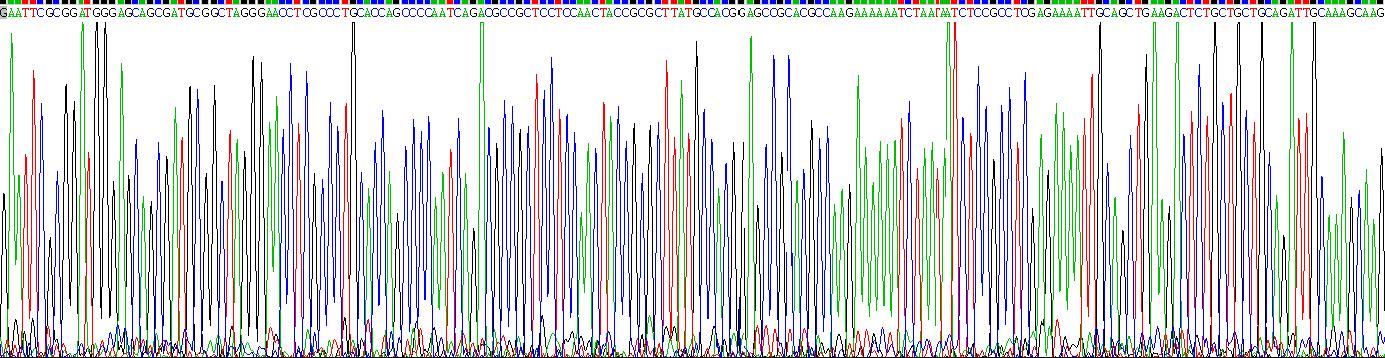 Gene Sequencing (extract)