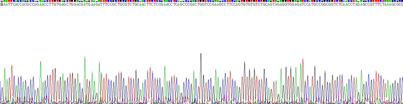 Gene Sequencing (extract)