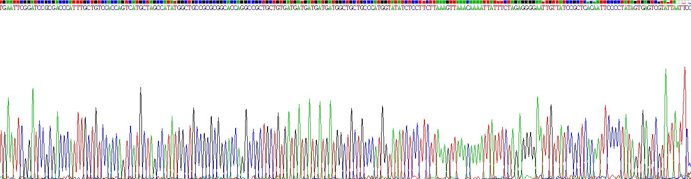 Gene Sequencing (extract)