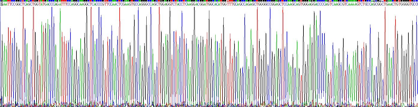 Gene Sequencing (extract)