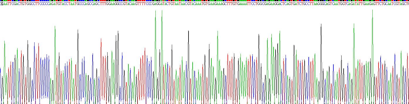 Gene Sequencing (extract)