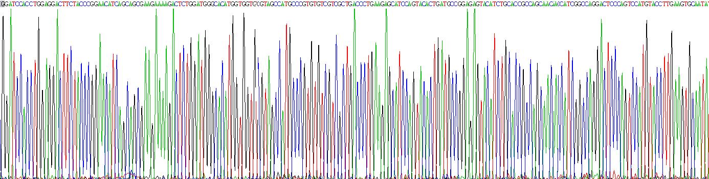 Gene Sequencing (extract)