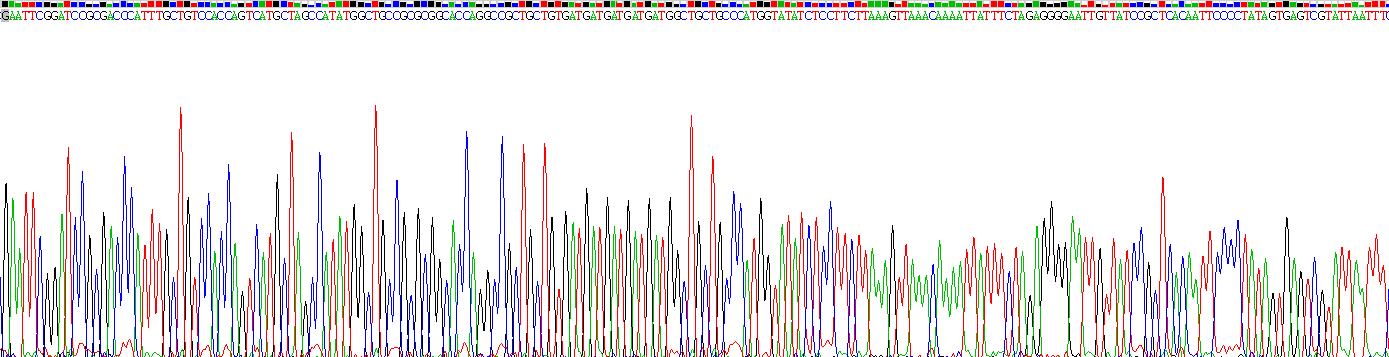 Gene Sequencing (extract)