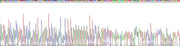 Gene Sequencing (extract)