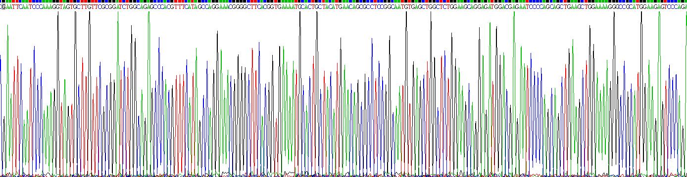 Gene Sequencing (extract)