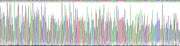 Gene Sequencing (extract)