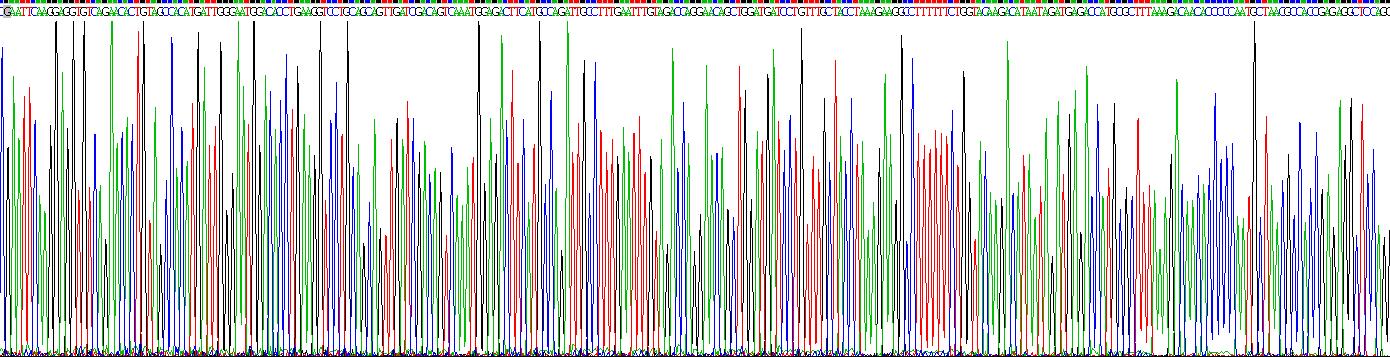Gene Sequencing (extract)