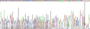 Gene Sequencing (extract)