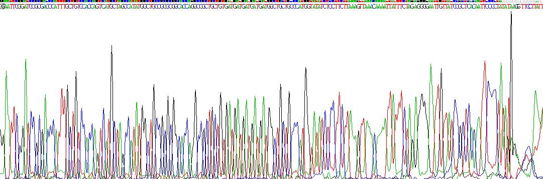 Gene Sequencing (extract)
