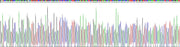 Gene Sequencing (extract)