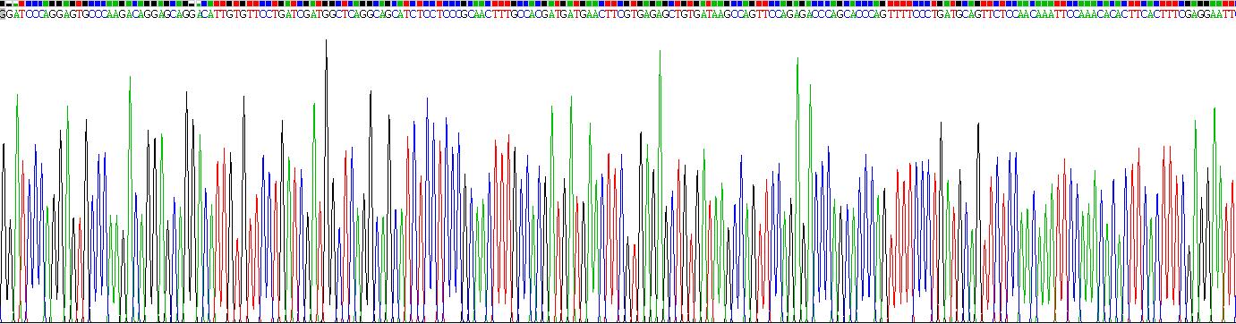 Gene Sequencing (extract)