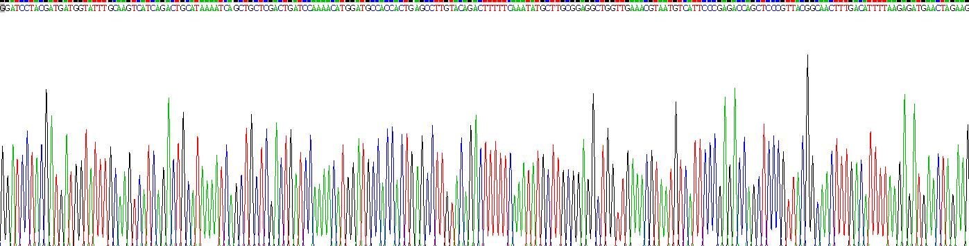 Gene Sequencing (extract)