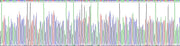 Gene Sequencing (extract)