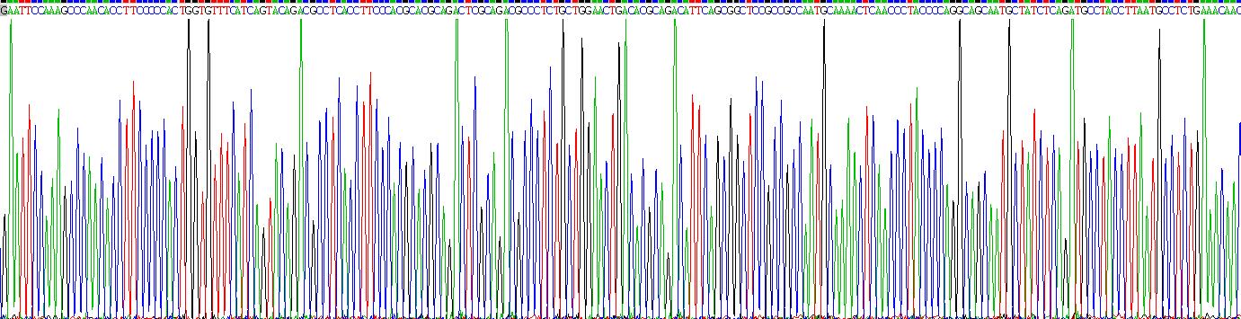 Gene Sequencing (extract)