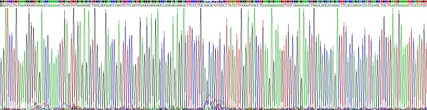 Gene Sequencing (extract)