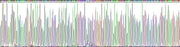 Gene Sequencing (extract)