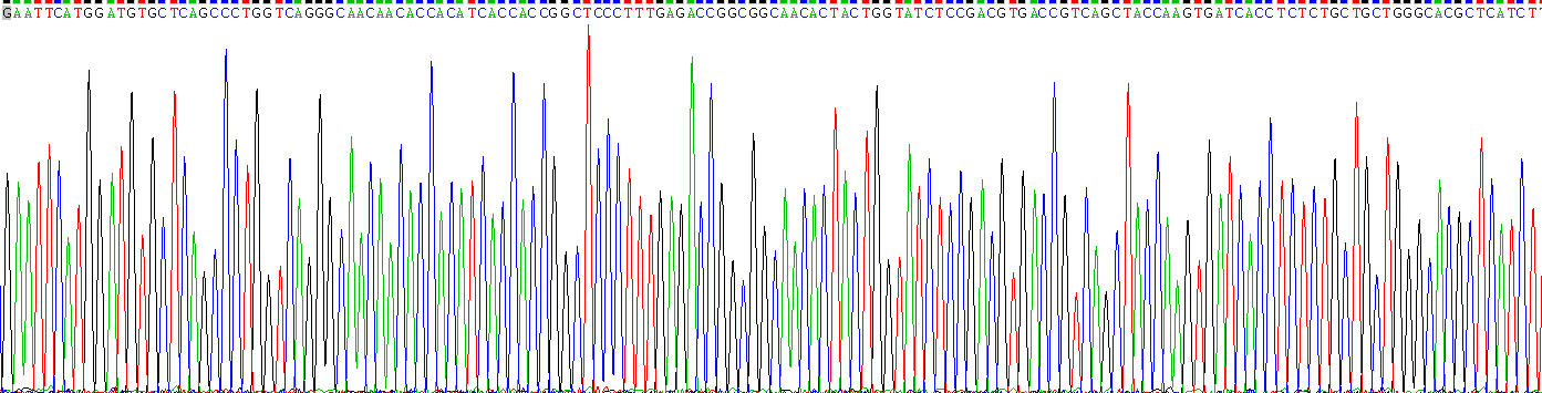 Gene Sequencing (extract)