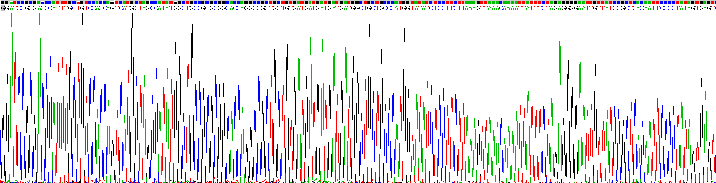 Gene Sequencing (extract)