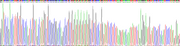 Gene Sequencing (extract)