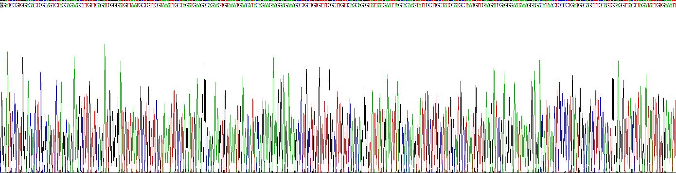 Gene Sequencing (extract)