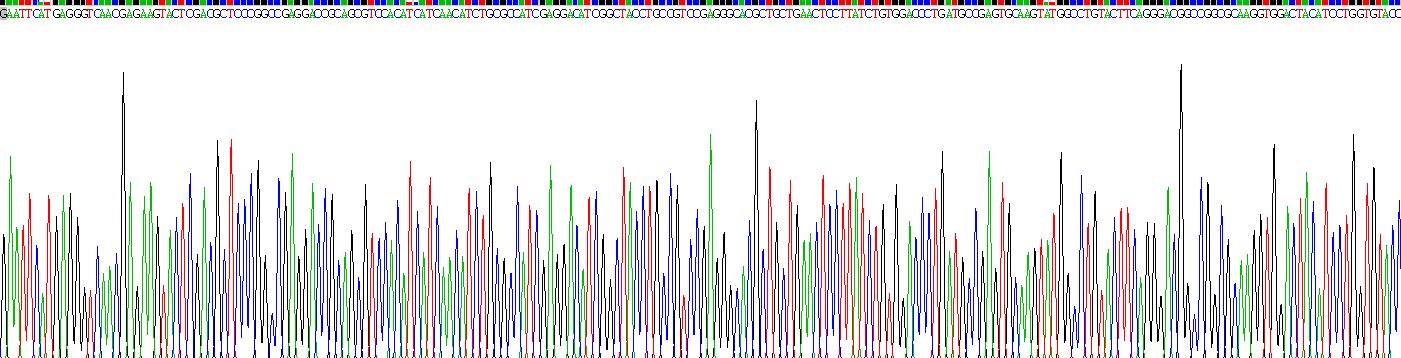 Gene Sequencing (extract)