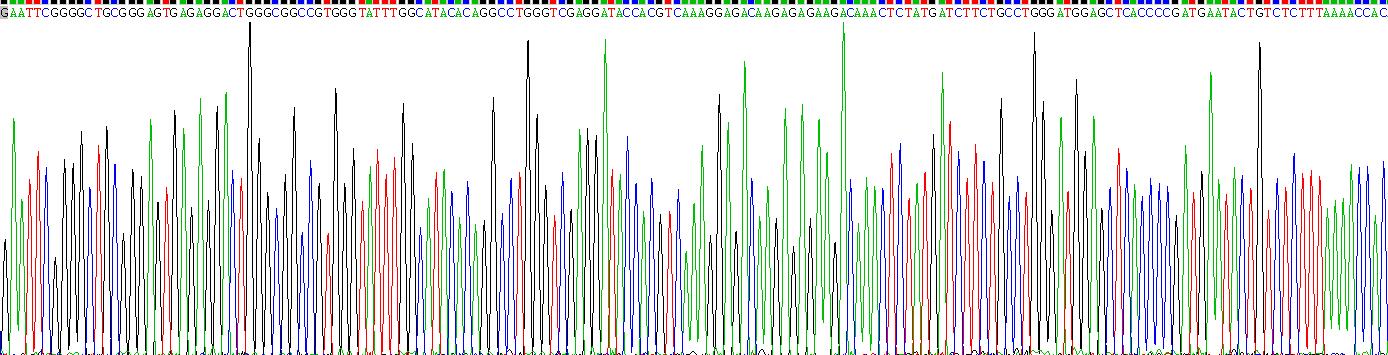 Gene Sequencing (extract)