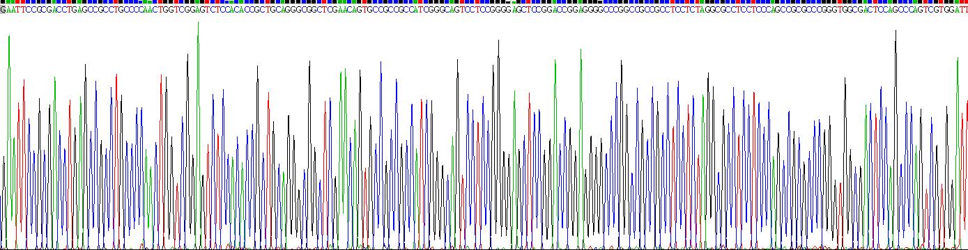 Gene Sequencing (extract)