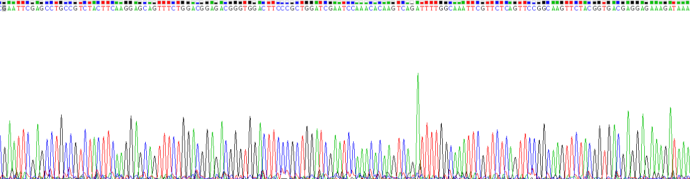Gene Sequencing (extract)