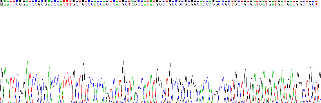 Gene Sequencing (extract)