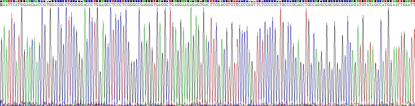 Gene Sequencing (extract)