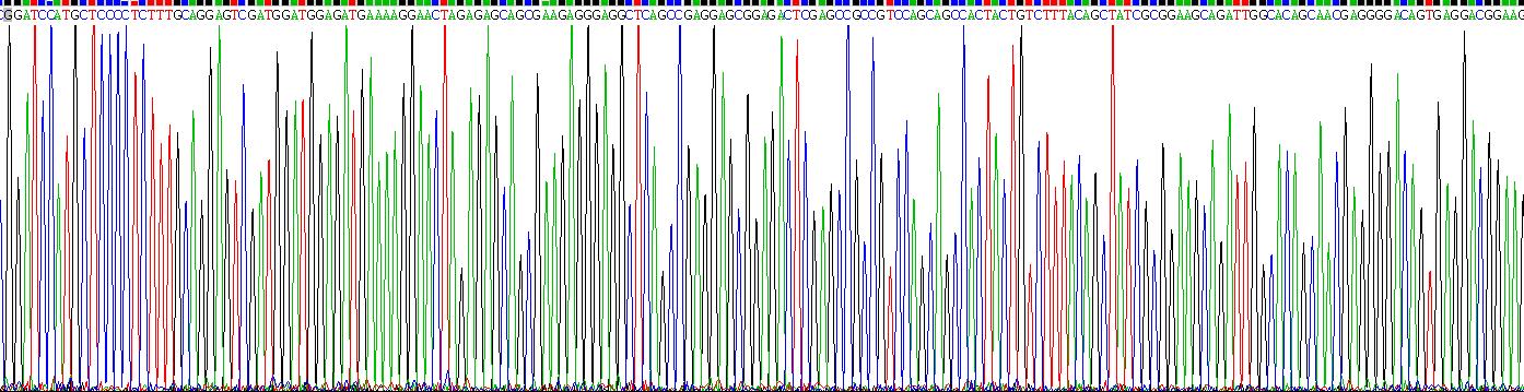 Gene Sequencing (extract)