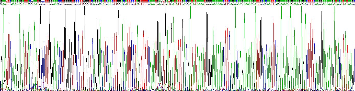 Gene Sequencing (extract)