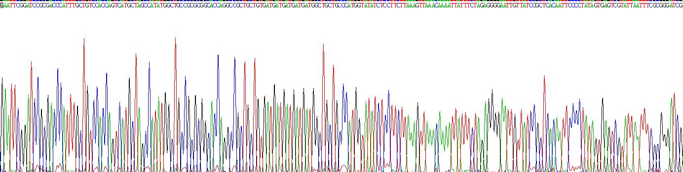 Gene Sequencing (extract)