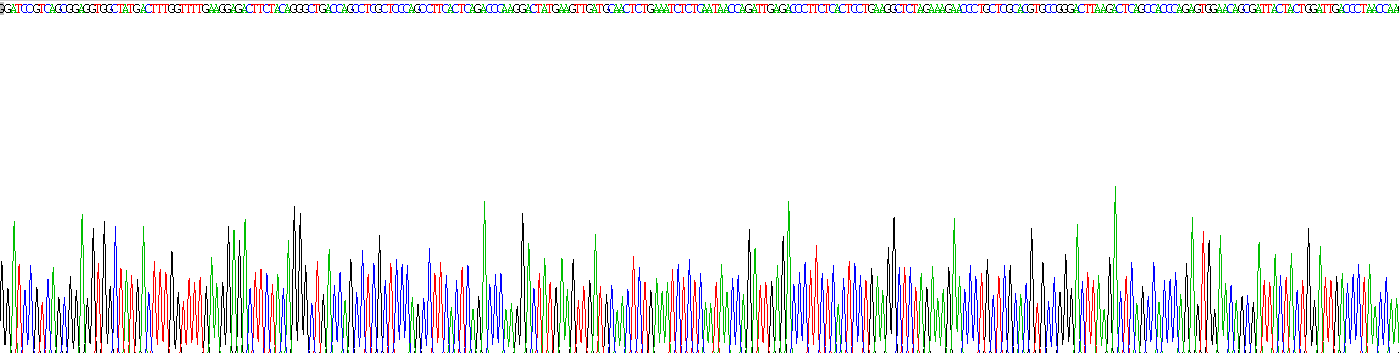 Gene Sequencing (extract)