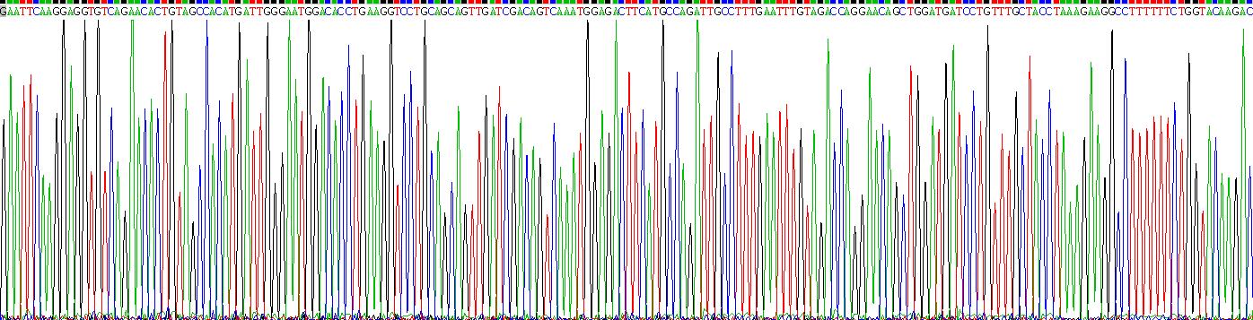 Gene Sequencing (extract)