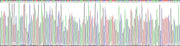 Gene Sequencing (extract)