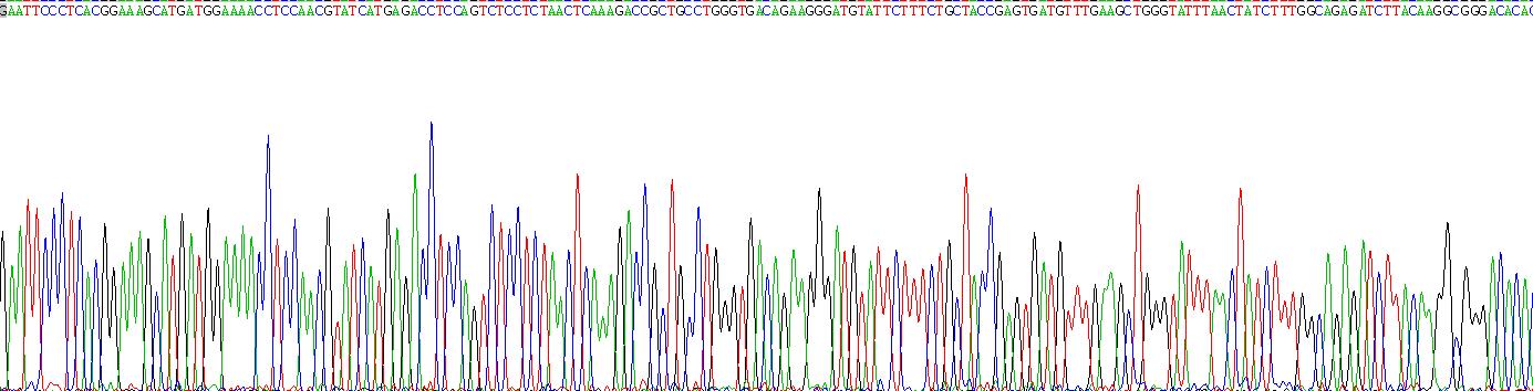 Gene Sequencing (extract)