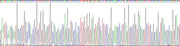 Gene Sequencing (extract)