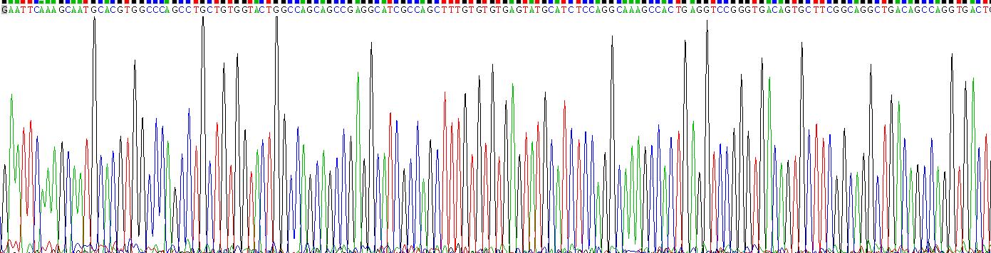 Gene Sequencing (extract)
