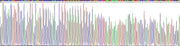 Gene Sequencing (extract)